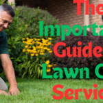 The Importance Guide to Lawn Care Services