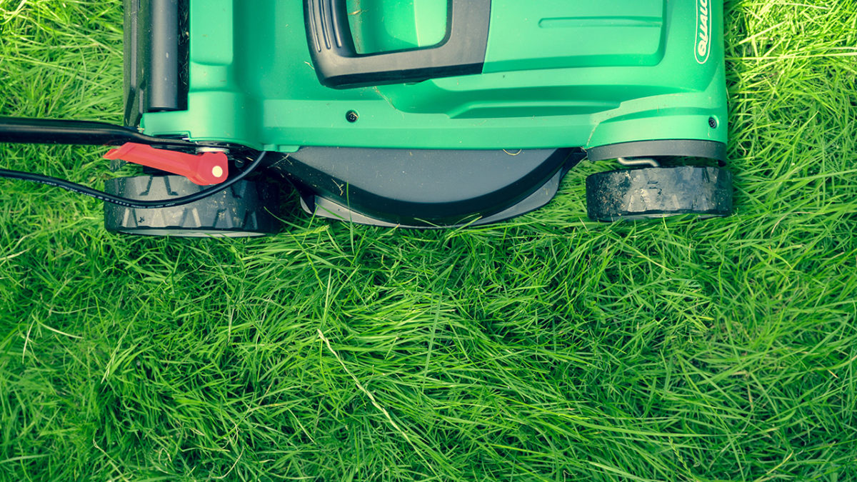 lawn care service