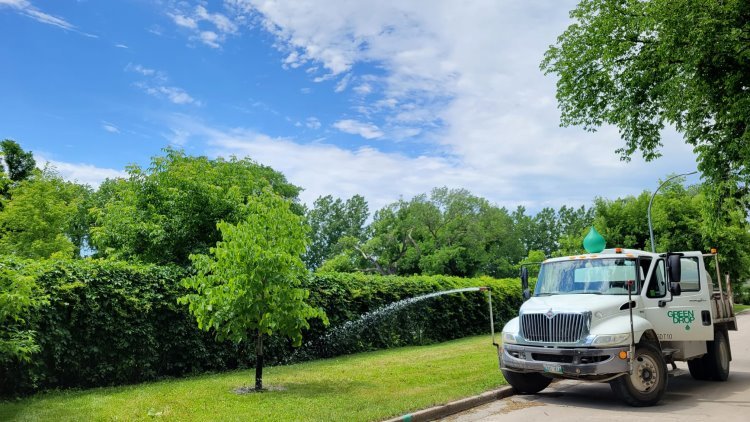 lawn care Regina