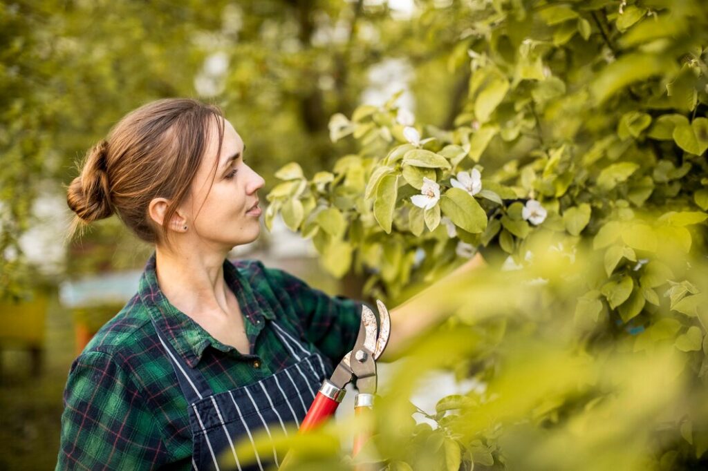 tree doctor in Red Deer