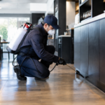 commercial pest control in Regina